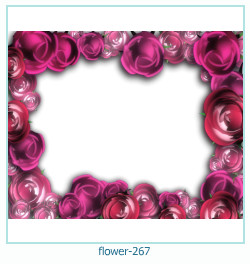 cadre photo fleur 267