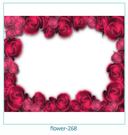 cadre photo fleur 268