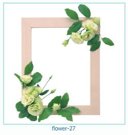 cadre photo fleur 27