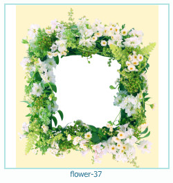 cadre photo fleur 37