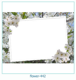 cadre photo fleur 442