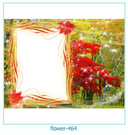 cadre photo fleur 464