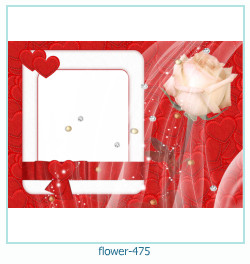 cadre photo fleur 475