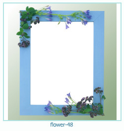cadre photo fleur 48