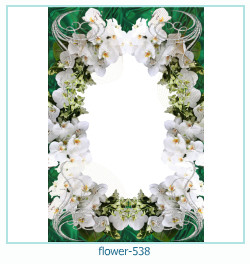 cadre photo fleur 538