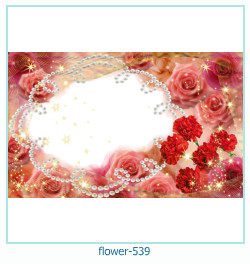 cadre photo fleur 539