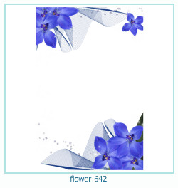 cadre photo fleur 642