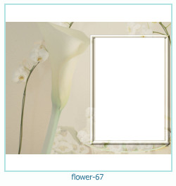 cadre photo fleur 67
