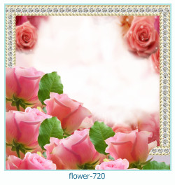 cadre photo fleur 720
