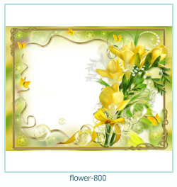 cadre photo fleur 800