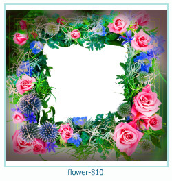 cadre photo fleur 810