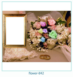 cadre photo fleur 842