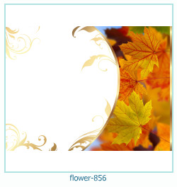 cadre photo fleur 856