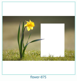 cadre photo fleur 875
